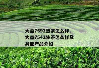 大益7592熟茶怎么样，大益7542生茶怎么样及其他产品介绍