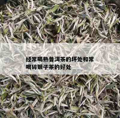 经常喝熟普洱茶的坏处和常喝碎银子茶的好处