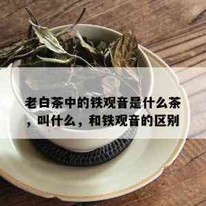 老白茶中的铁观音是什么茶，叫什么，和铁观音的区别