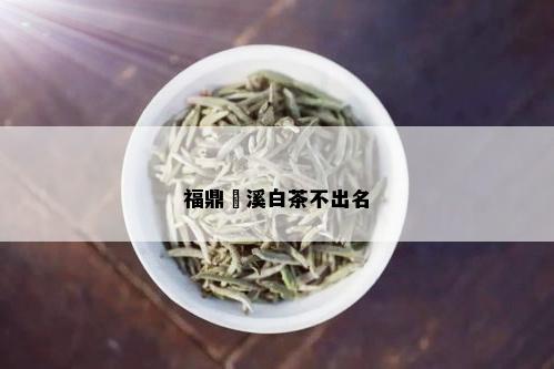 福鼎磻溪白茶不出名