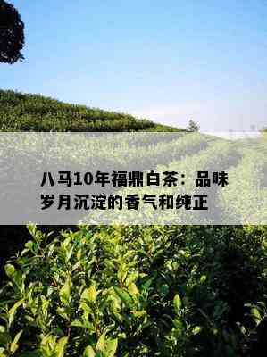 八马10年福鼎白茶：品味岁月沉淀的香气和纯正