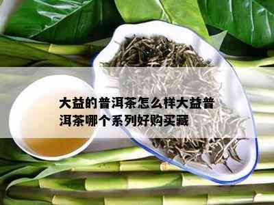 大益的普洱茶怎么样大益普洱茶哪个系列好购买藏