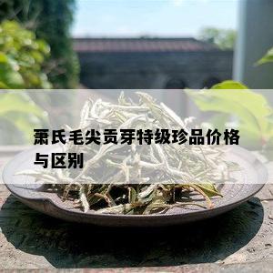 萧氏毛尖贡芽特级珍品价格与区别