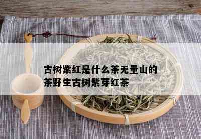 古树紫红是什么茶无量山的茶野生古树紫芽红茶