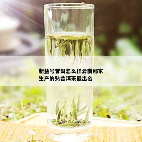 新益号普洱怎么样云南那家生产的熟普洱茶最出名