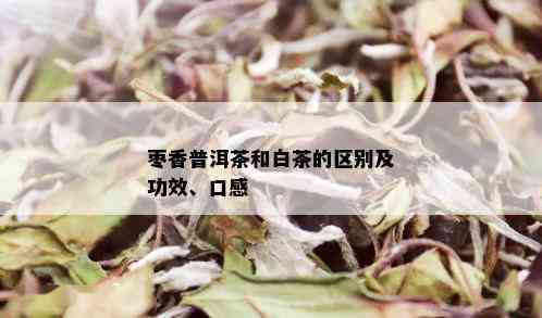 枣香普洱茶和白茶的区别及功效、口感