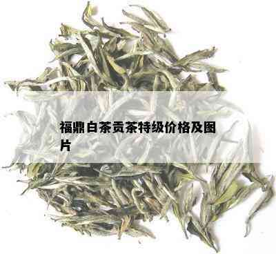 福鼎白茶贡茶特级价格及图片