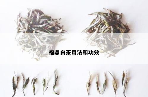 福鼎白茶用法和功效