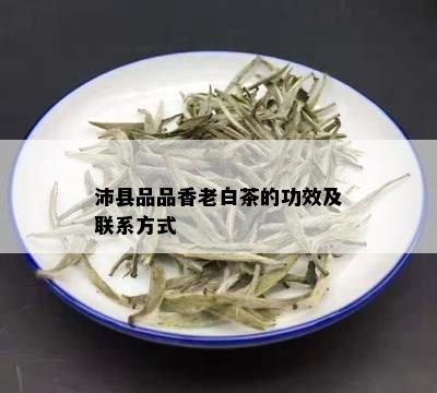 沛县品品香老白茶的功效及联系方式