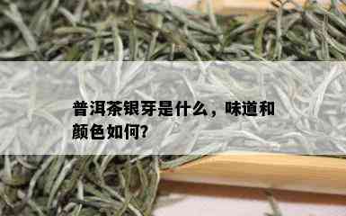 普洱茶银芽是什么，味道和颜色如何？