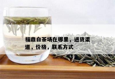 福鼎白茶场在哪里，进货渠道，价格，联系方式