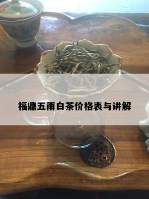 福鼎五雨白茶价格表与讲解