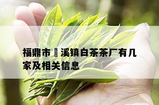 福鼎市磻溪镇白茶茶厂有几家及相关信息