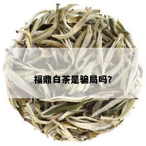 福鼎白茶是骗局吗？