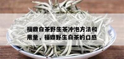 福鼎白茶野生茶冲泡方法和用量，福鼎野生白茶的口感