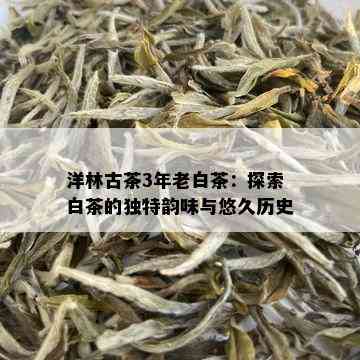 洋林古茶3年老白茶：探索白茶的独特韵味与悠久历史