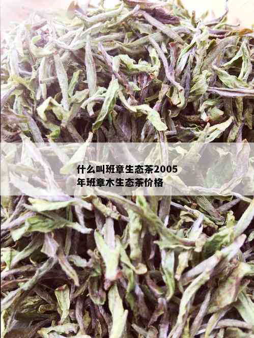 什么叫班章生态茶2005年班章木生态茶价格