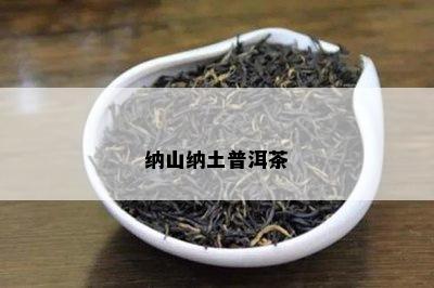 纳山纳土普洱茶