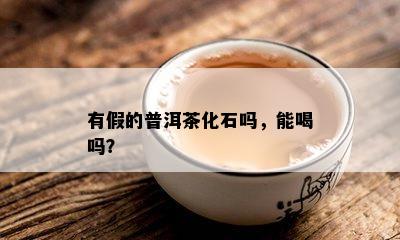 有假的普洱茶化石吗，能喝吗？