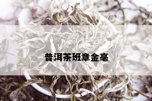 普洱茶班章金亳