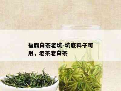 福鼎白茶老坑-坑底料子可用，老茶老白茶