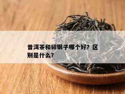 普洱茶和碎银子哪个好？区别是什么？