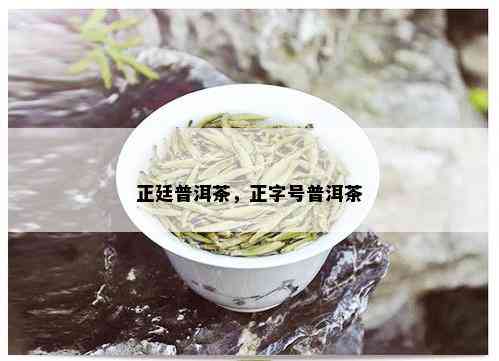 正廷普洱茶，正字号普洱茶