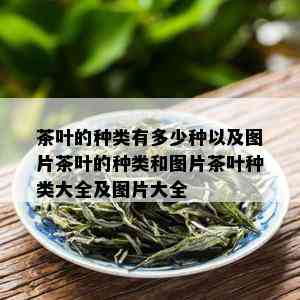 茶叶的种类有多少种以及图片茶叶的种类和图片茶叶种类大全及图片大全