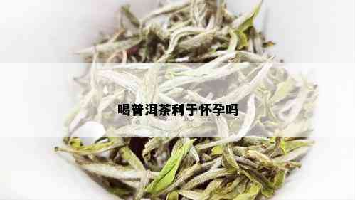 喝普洱茶利于怀孕吗