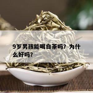 9岁男孩能喝白茶吗？为什么好吗？