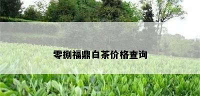 零捌福鼎白茶价格查询