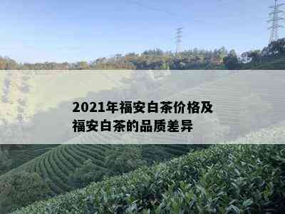 2021年福安白茶价格及福安白茶的品质差异