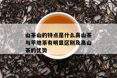 山茶山的特点是什么高山茶与平地茶有明显区别及高山茶的优势