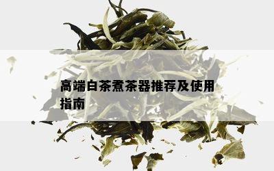 高端白茶煮茶器推荐及使用指南