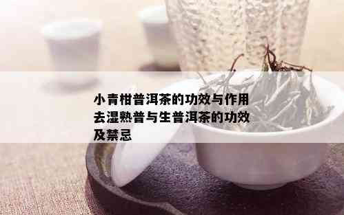 小青柑普洱茶的功效与作用去湿熟普与生普洱茶的功效及禁忌