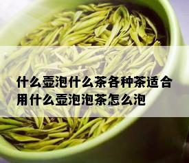 什么壶泡什么茶各种茶适合用什么壶泡泡茶怎么泡