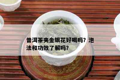 普洱茶夹金银花好喝吗？泡法和功效了解吗？