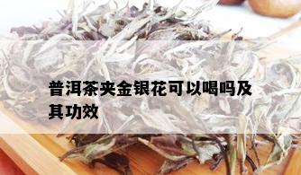 普洱茶夹金银花可以喝吗及其功效