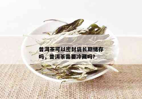 普洱茶可以密封袋长期储存吗，普洱茶需要冷藏吗？