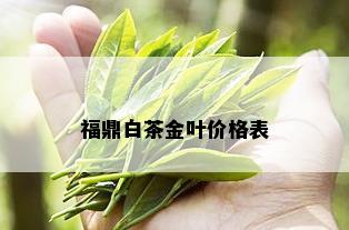 福鼎白茶金叶价格表