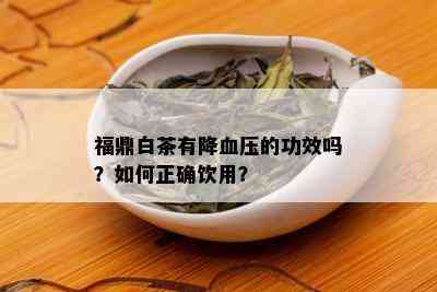 福鼎白茶有降血压的功效吗？如何正确饮用？