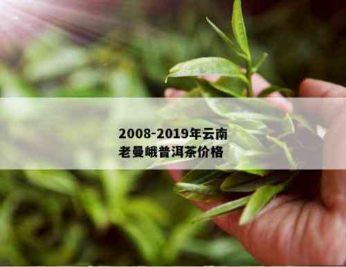 2008-2019年云南老曼峨普洱茶价格