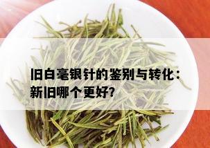 旧白毫银针的鉴别与转化：新旧哪个更好？