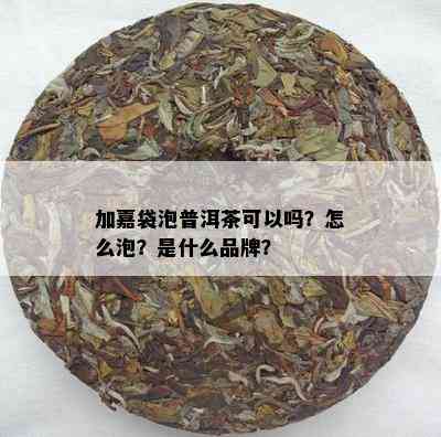 加嘉袋泡普洱茶可以吗？怎么泡？是什么品牌？