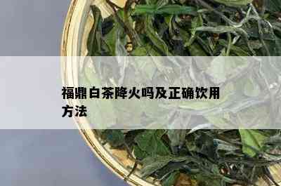 福鼎白茶降火吗及正确饮用方法