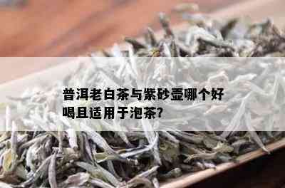 普洱老白茶与紫砂壶哪个好喝且适用于泡茶？