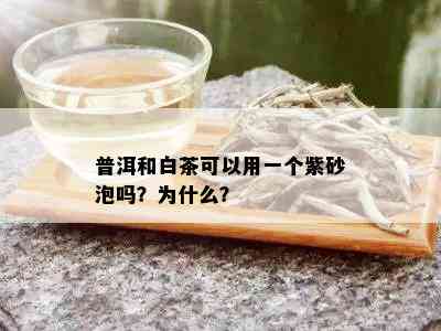 普洱和白茶可以用一个紫砂泡吗？为什么？