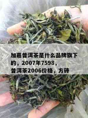 加嘉普洱茶是什么品牌旗下的，2007年7598，普洱茶2006价格，方砖