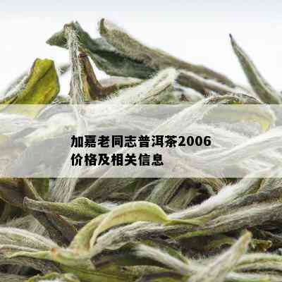 加嘉老同志普洱茶2006价格及相关信息