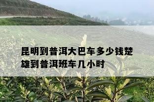 昆明到普洱大巴车多少钱楚雄到普洱班车几小时